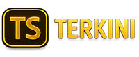 TSTerkini